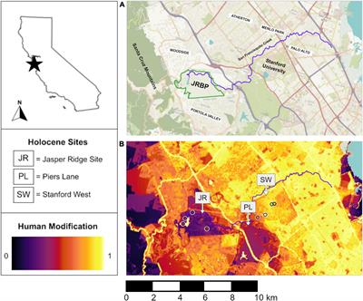 Spatiotemporal impacts of the Anthropocene on small mammal communities, and the role of small biological preserves in maintaining biodiversity